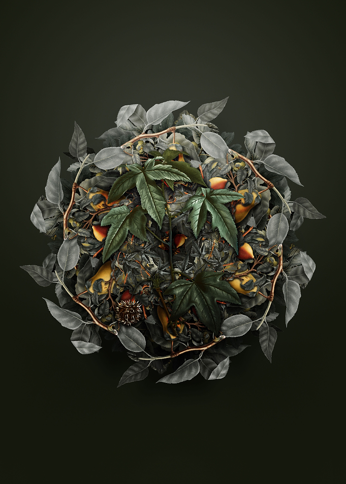 American Sweetgum Wreath