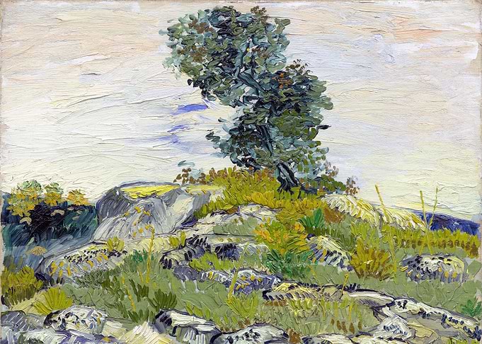 The Rocks