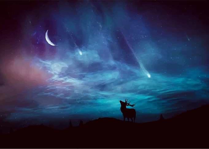 Blue Night
