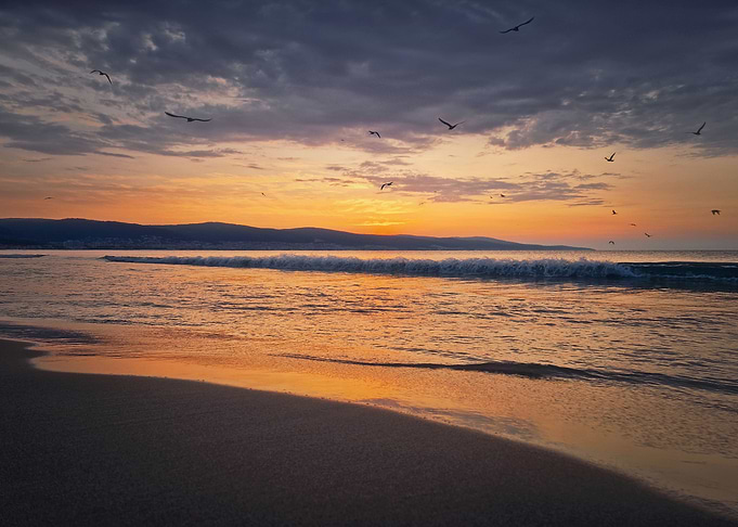 Sea sunrise with seagulls