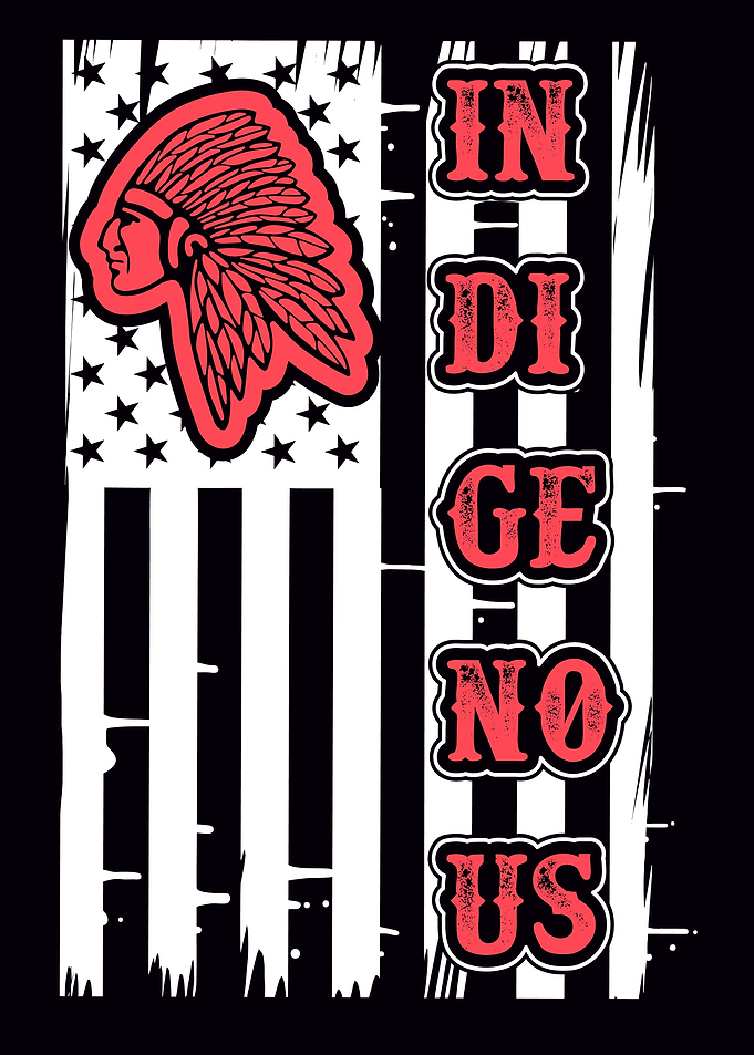 Indigenous flag