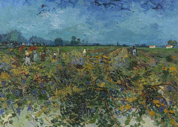 The Green Vineyard
