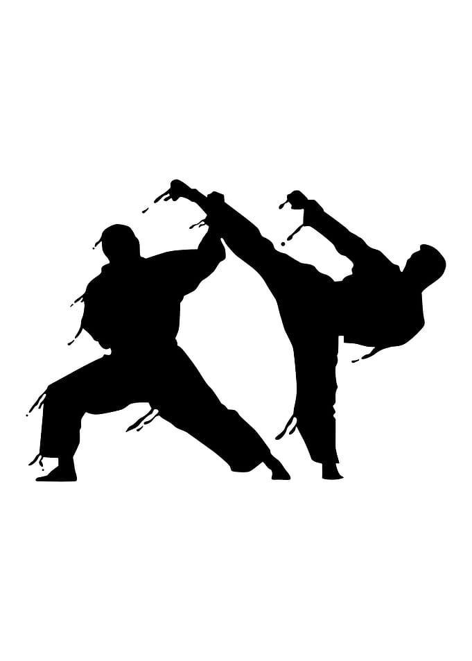 Taekwondo