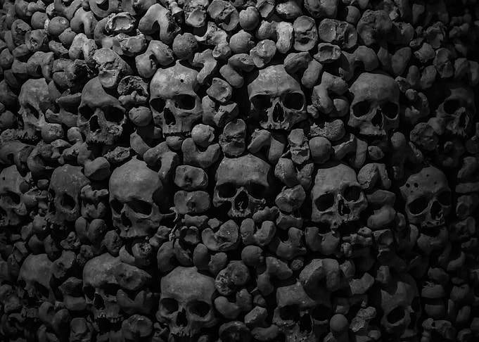Skulls