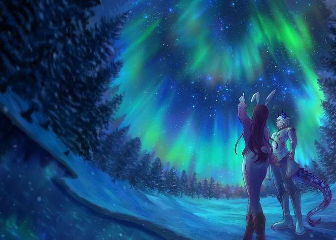 Aurora Night
