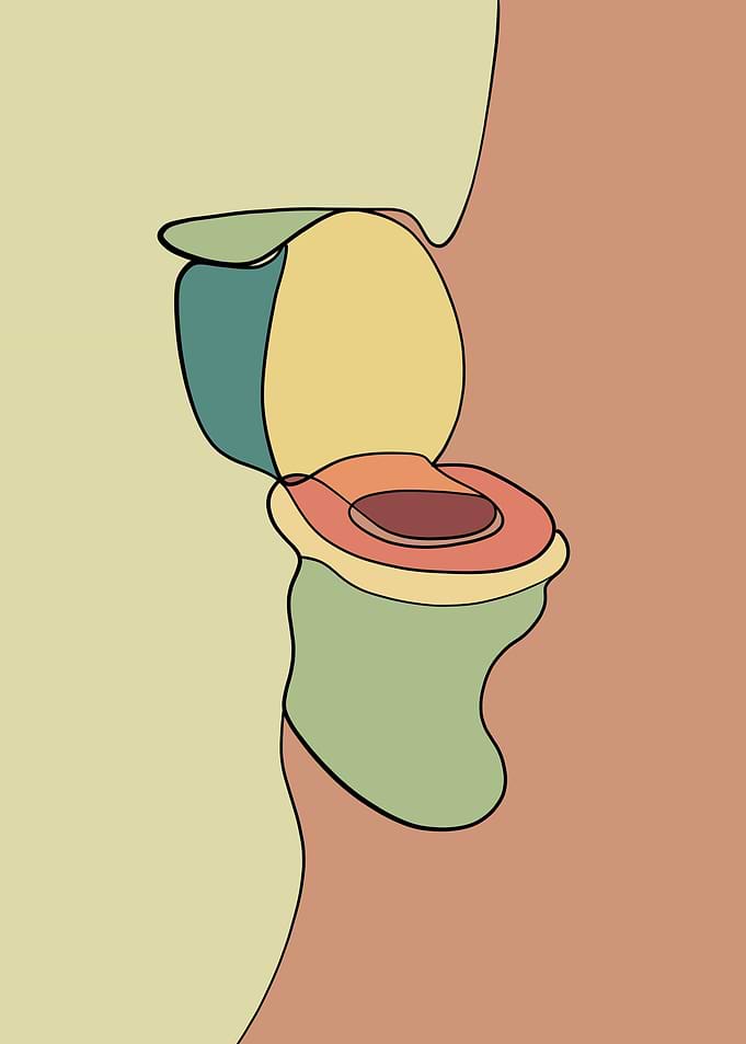 Toilet art