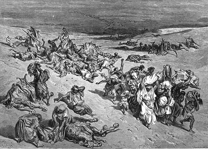 The Fifth Plague