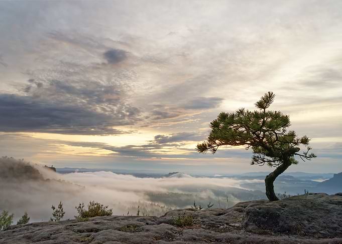 Elbe Sandstone Mountains
