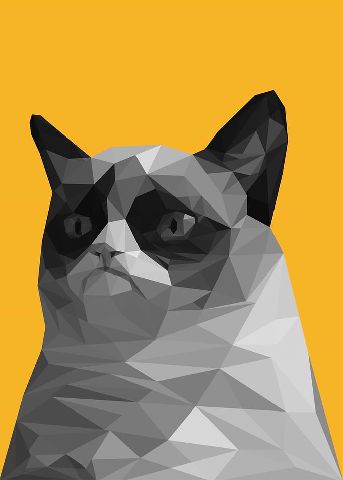 scared cat meme