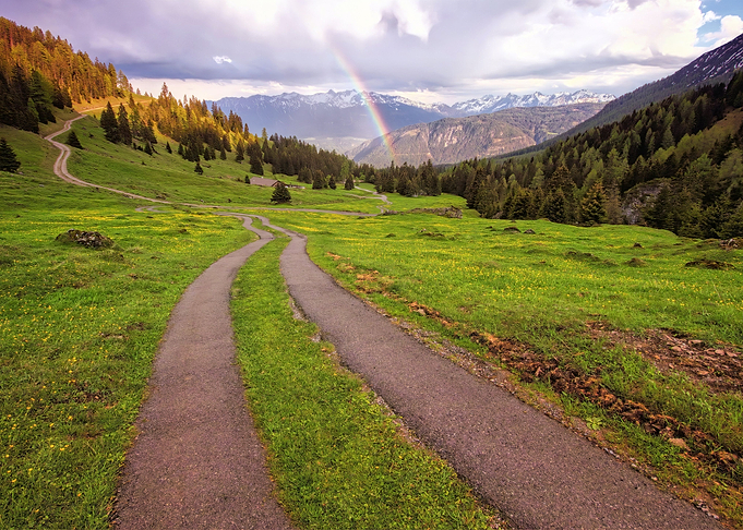 Green Grass Field