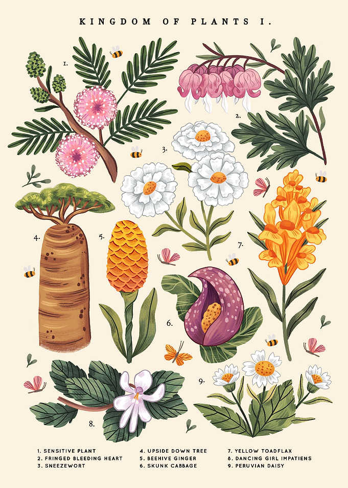 Kingdom of Plants Light