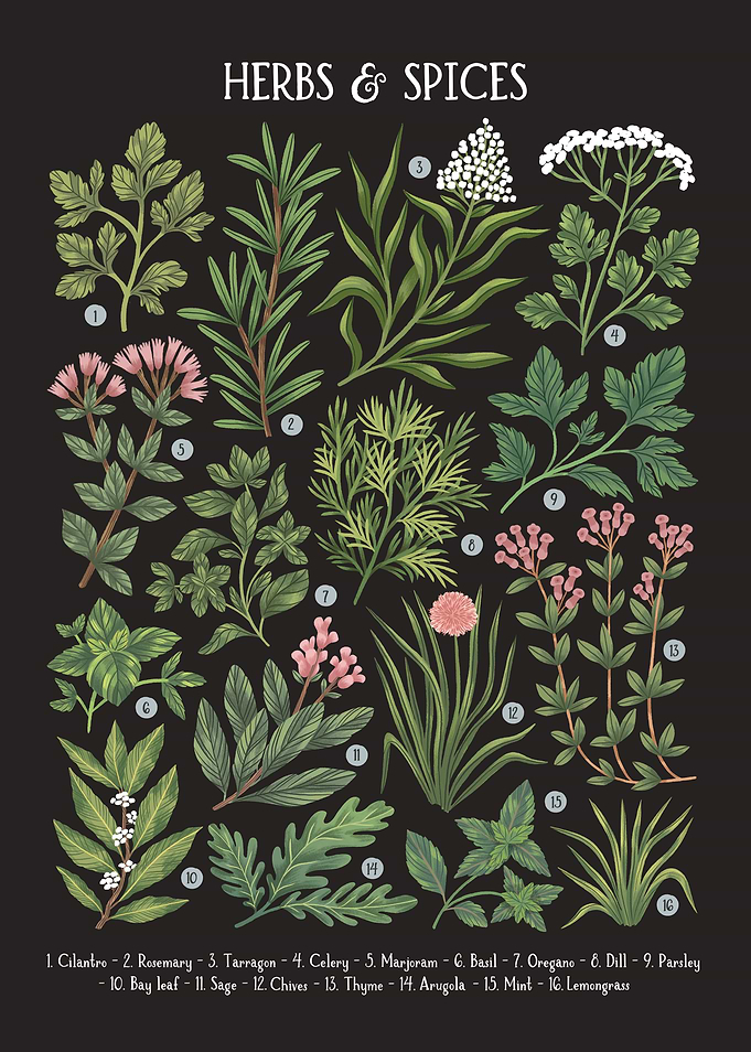 Herbs and Spices III