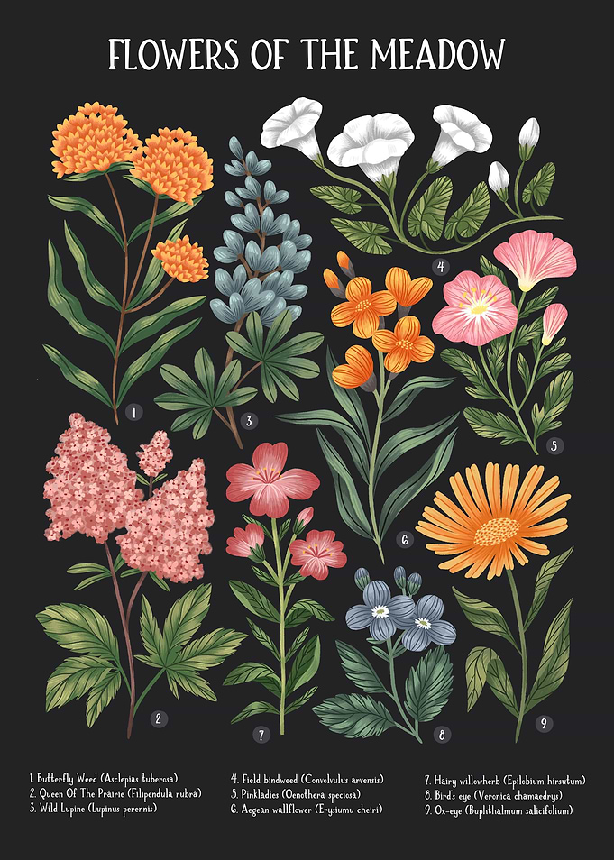 Flowers of the Meadow I