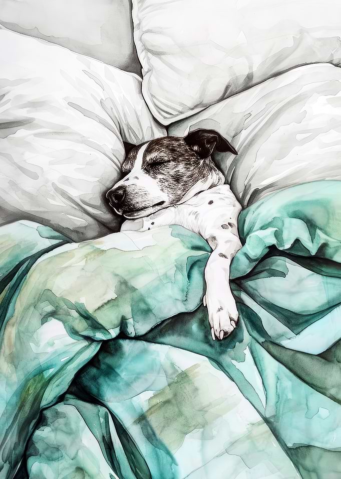 Dogs life