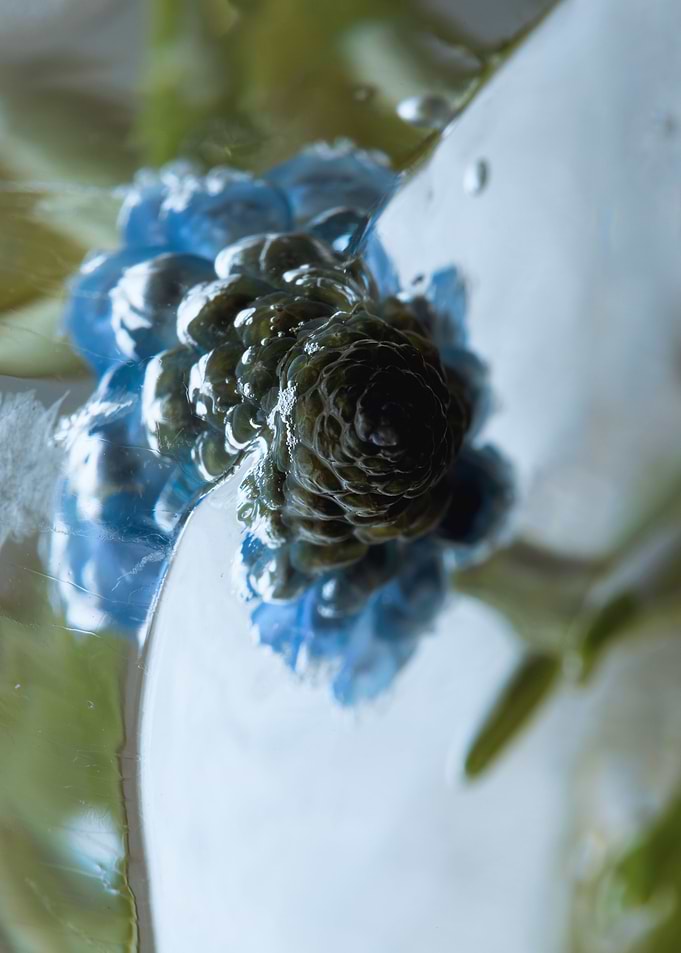 Muscari in ice 3
