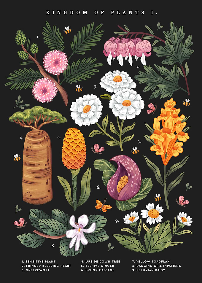 Kingdom of Plants Dark