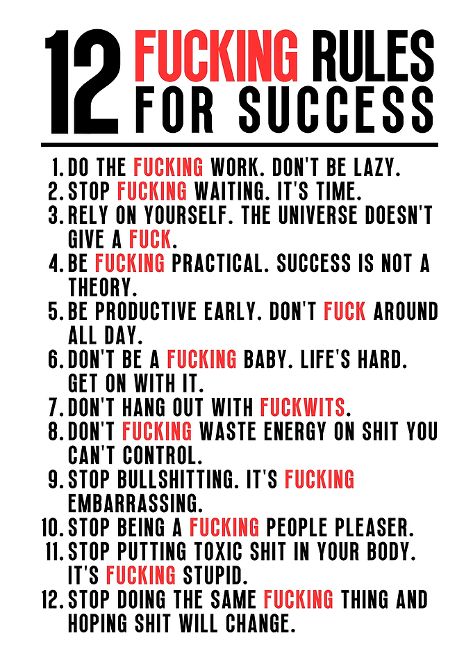 12 Fucking Rules Success