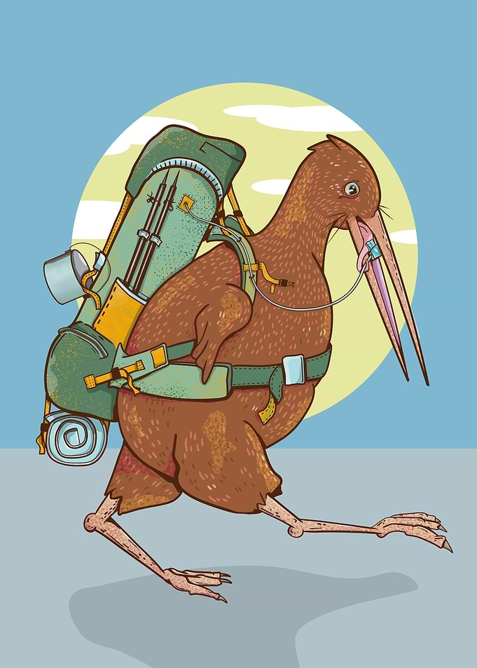 Kiwi bird thru hiker