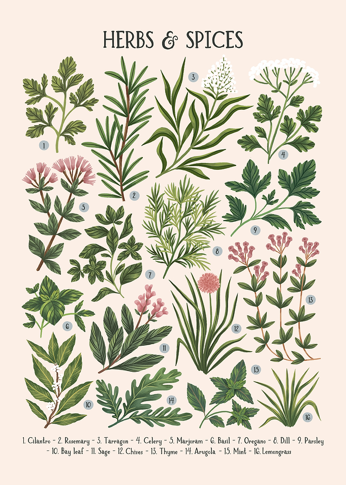 Herbs and Spices I