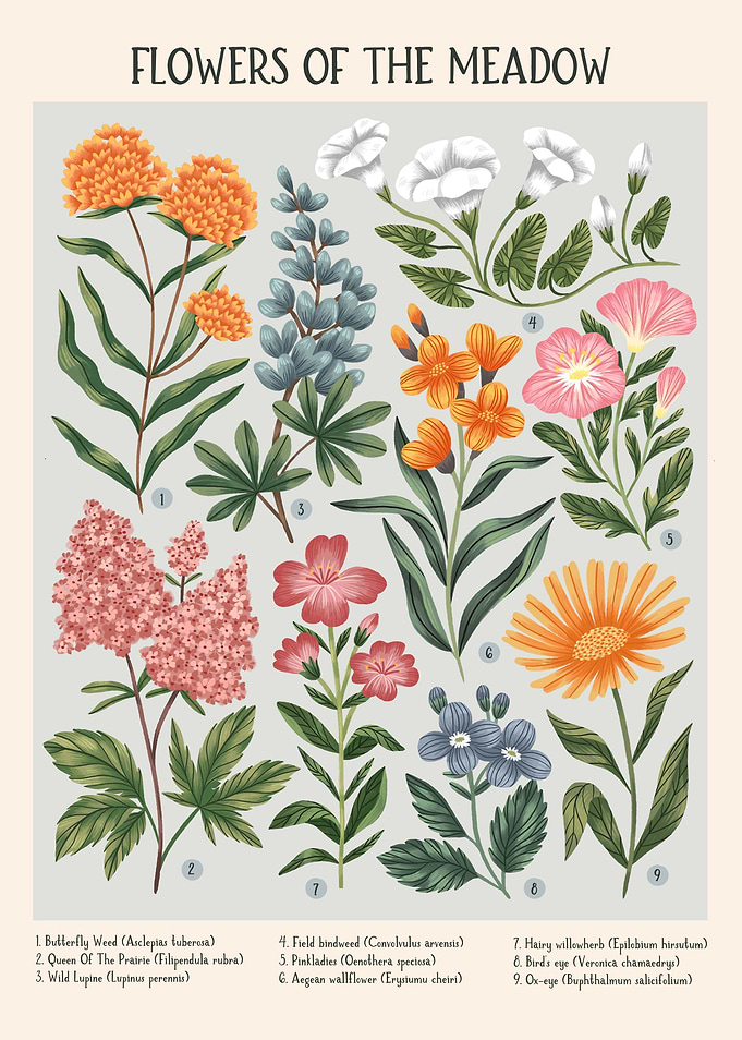 Flowers of the Meadow II