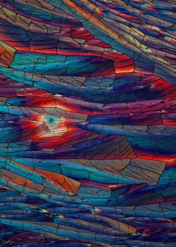 Crystal Patterns XXI