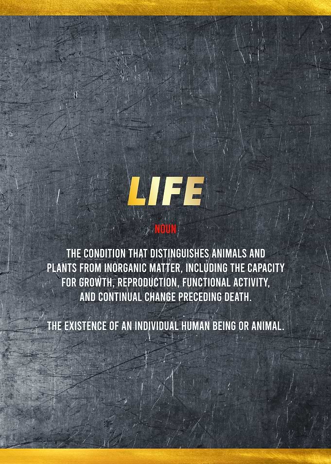 life definition quotes