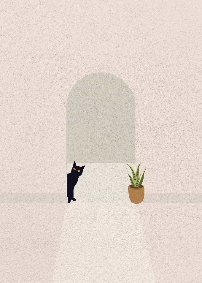 Cat at the door