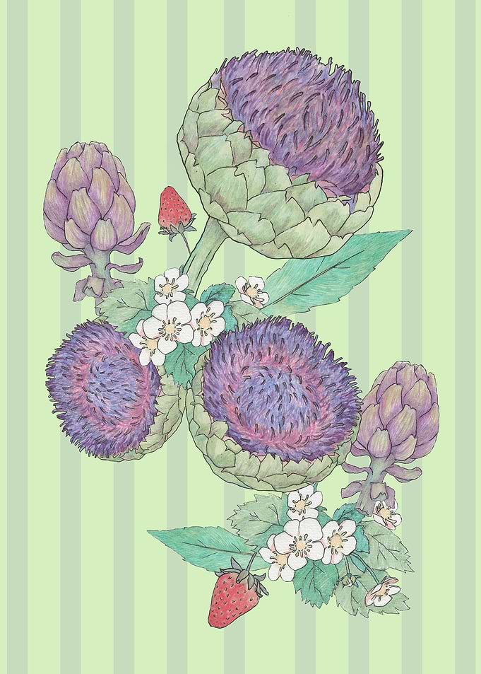 Spring Artichoke