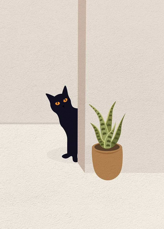 Cat peeks