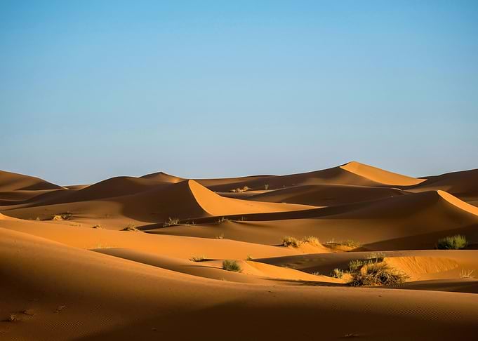 Desert Oasis