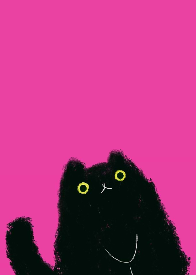 hi black cat