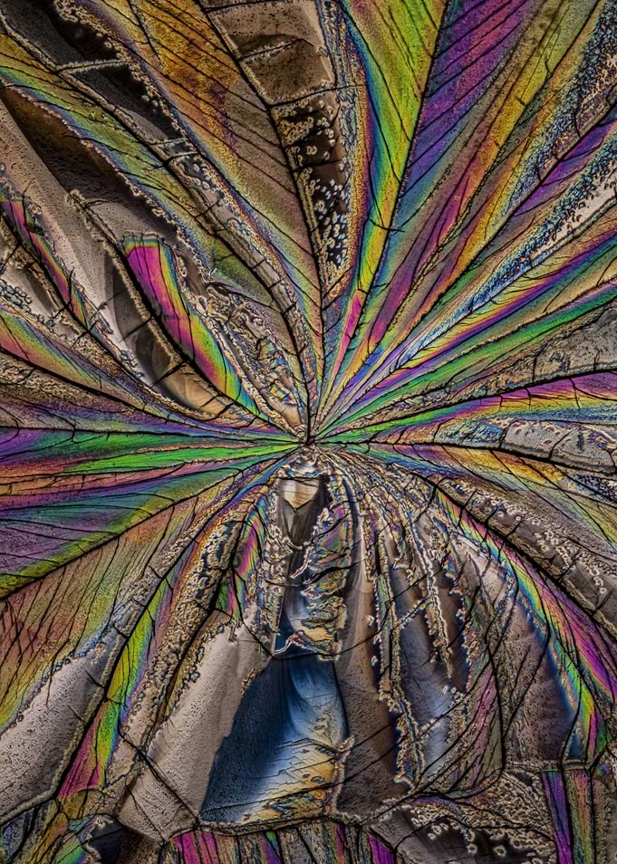 Crystal Patterns XXV