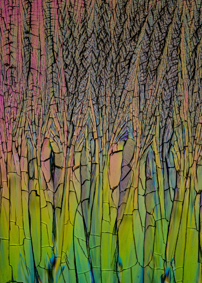 Crystal patterns XXIV