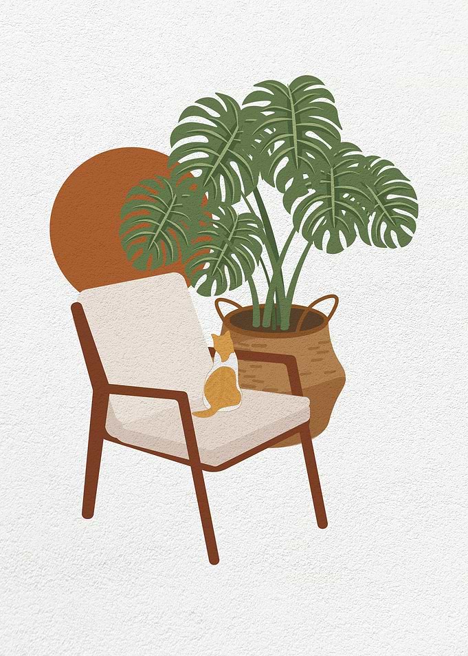 Cat on a chair