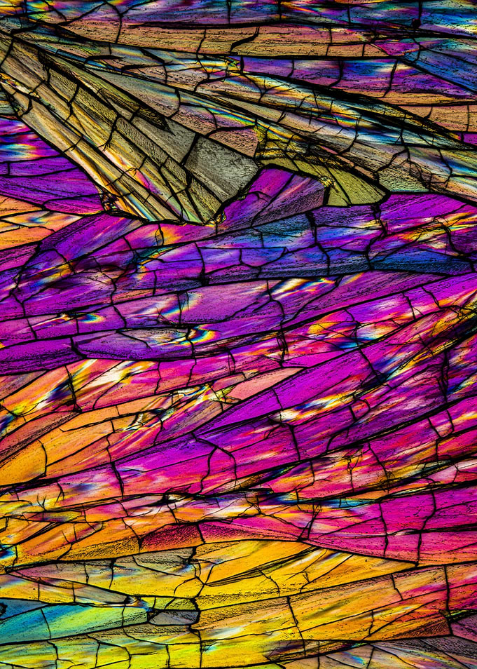 Crystal patterns XXIX