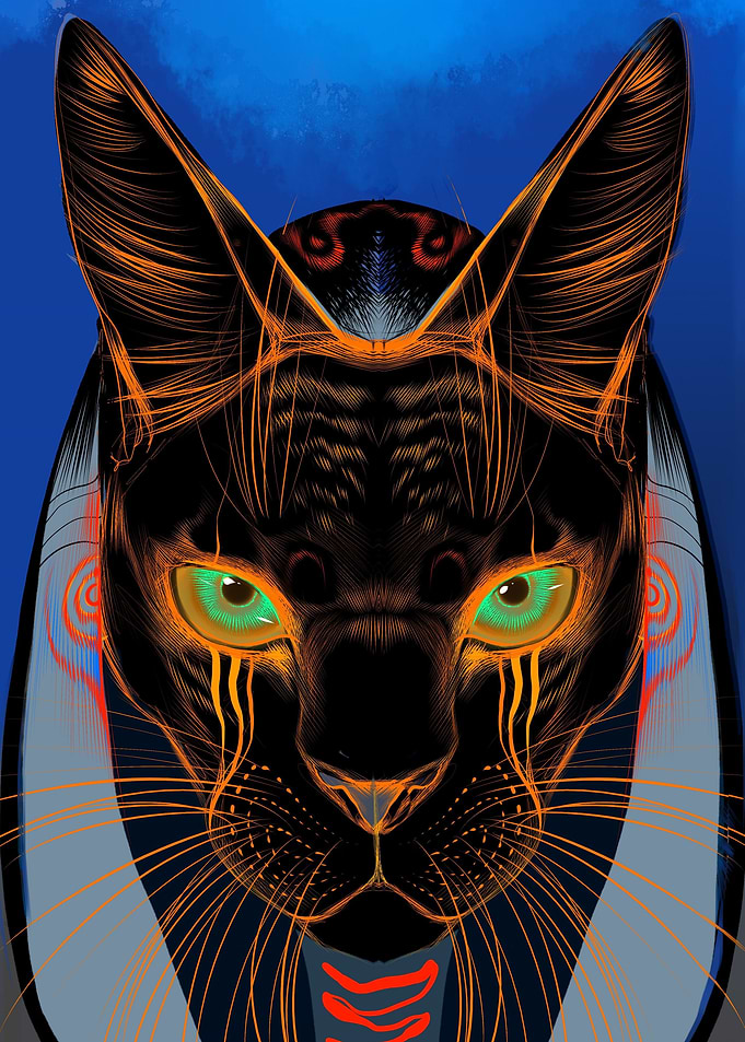 Cat Spinx Black
