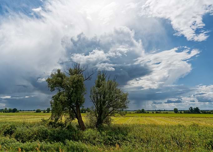 Thundercloud