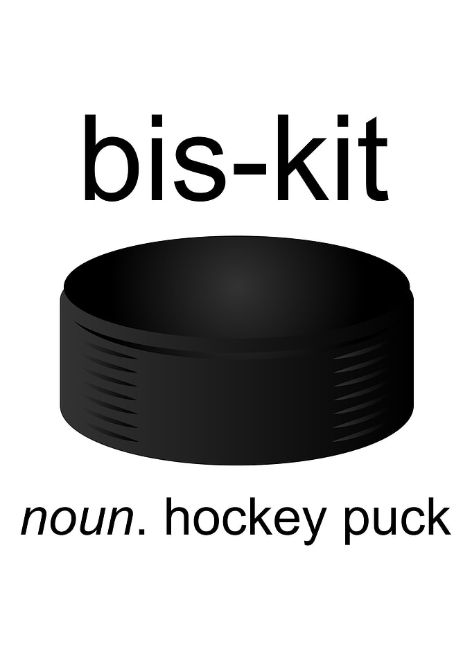 Hockey Puck Definition