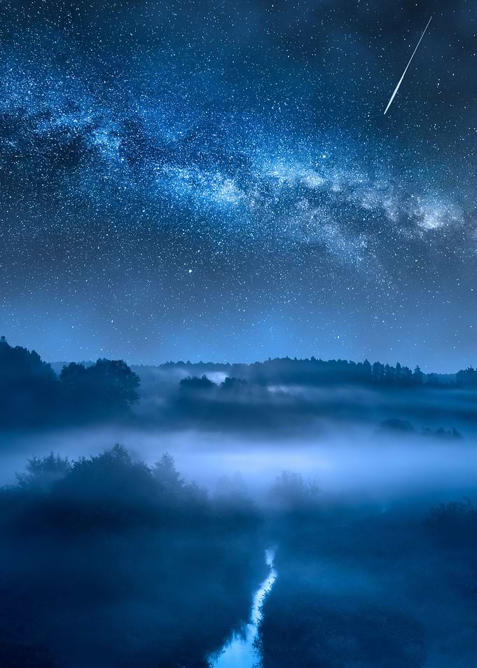 Milky way over forest