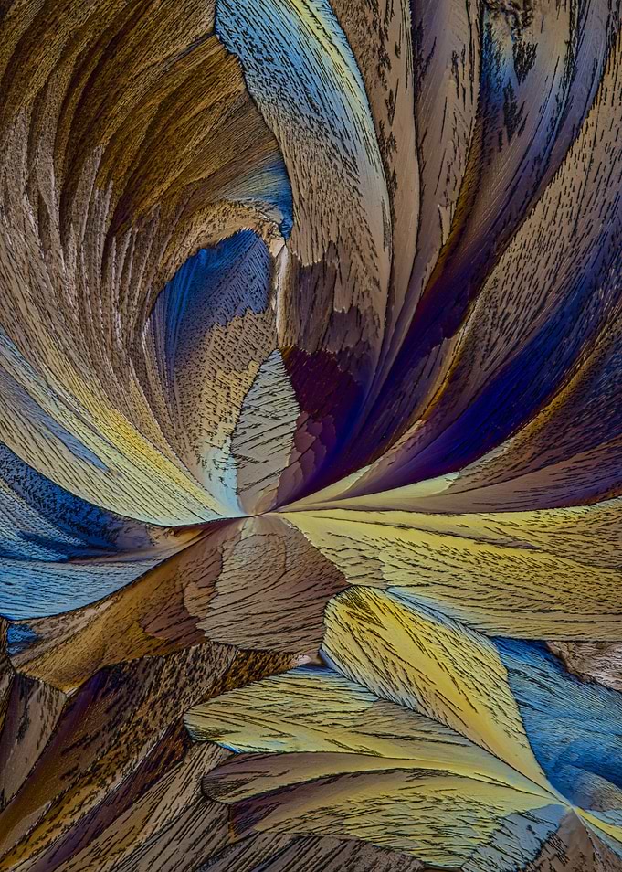 Crystal World no 5