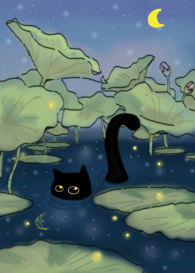 black cat in lily pond