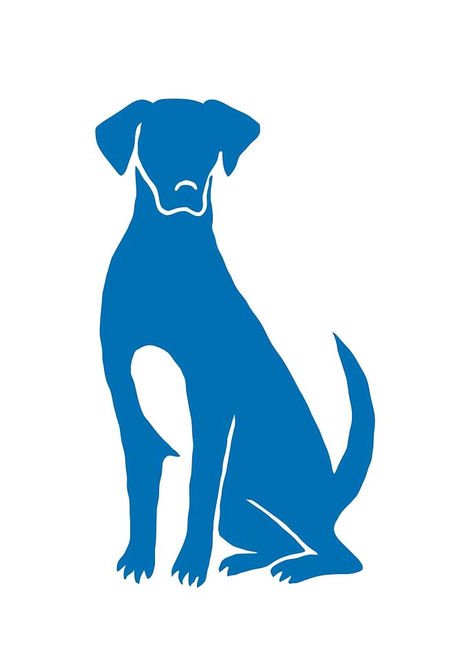 blue silhouette dog