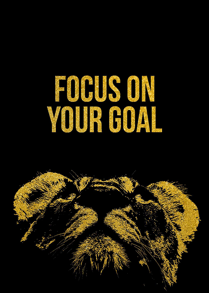 Focus On Your Goal