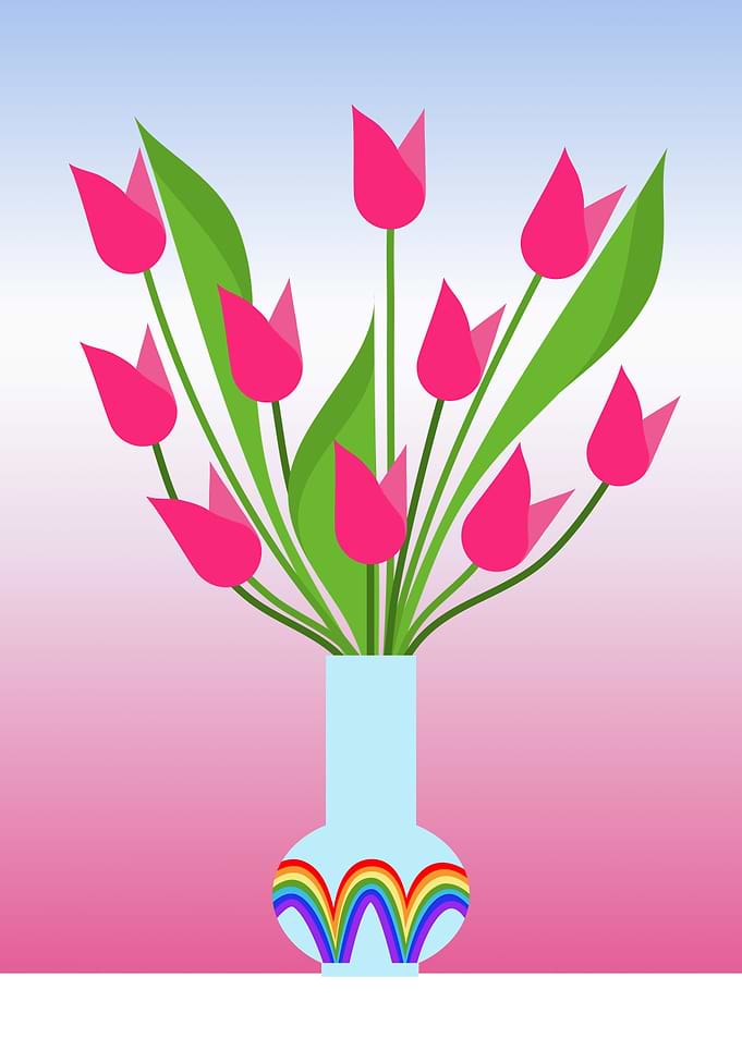 Tulips and rainbow