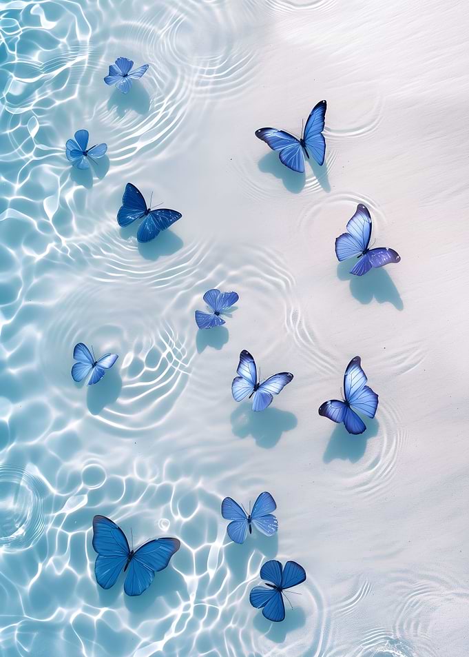 Serenity Butterflies