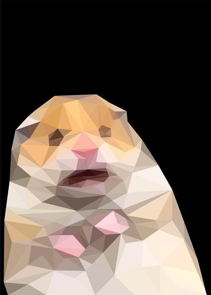 scared hamster meme