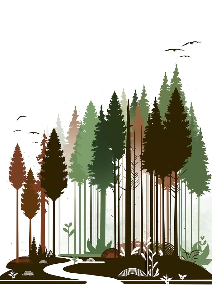 The Forest