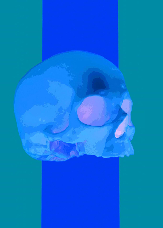 Skull