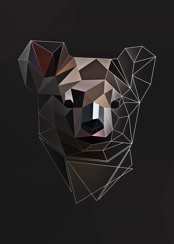 Low Poly Koalas Dream