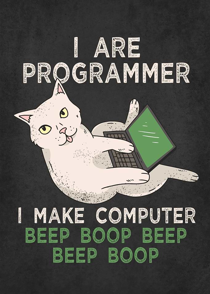 Funny Cat computer meme
